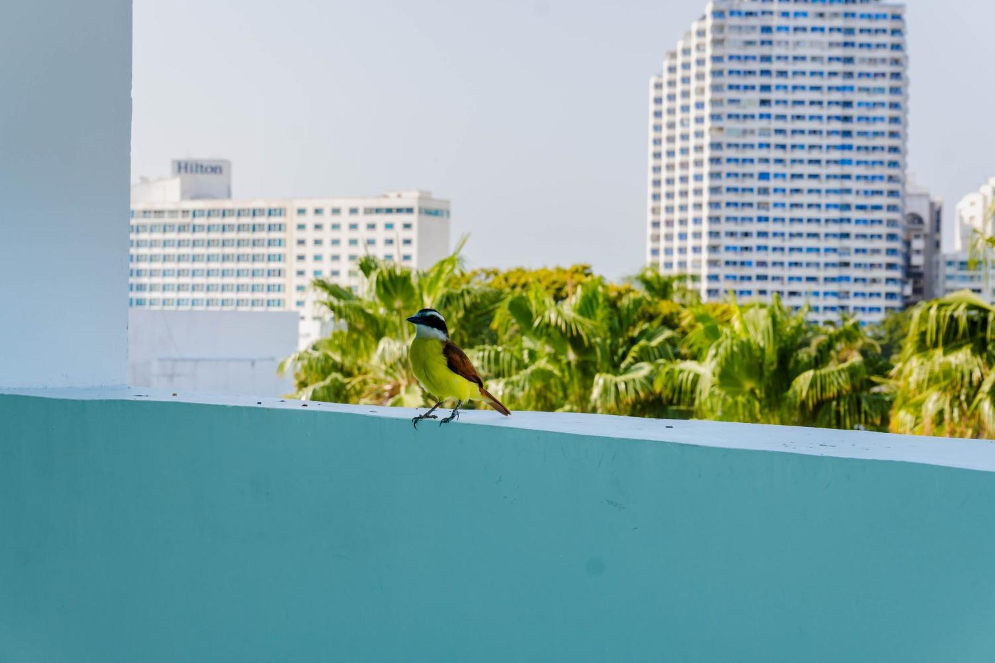 Coral Reef Hotel Cartagena Buitenkant foto
